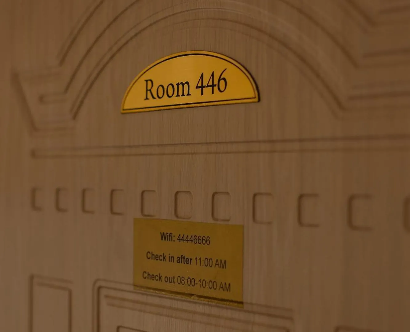 Room 446, Center Shkodra 0*,  Albanien